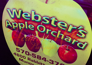 Webster's Apple Orchard